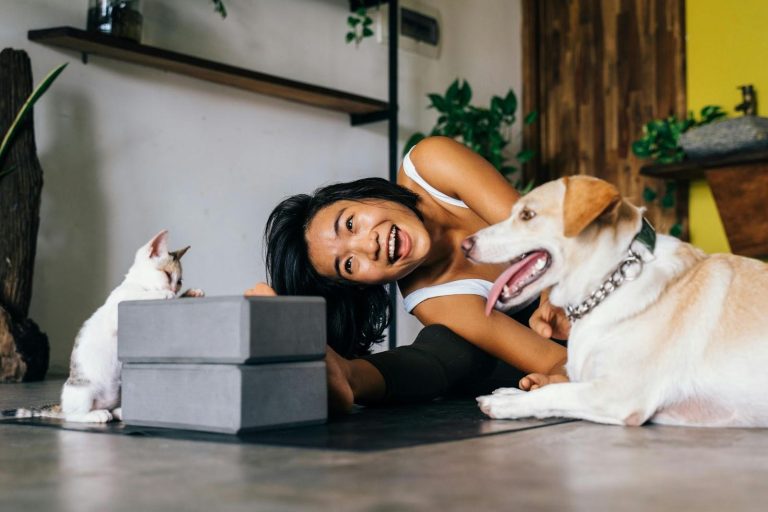 Pet